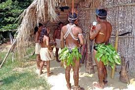 Amazonasindianer