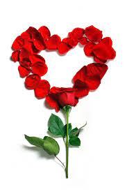 Liebe