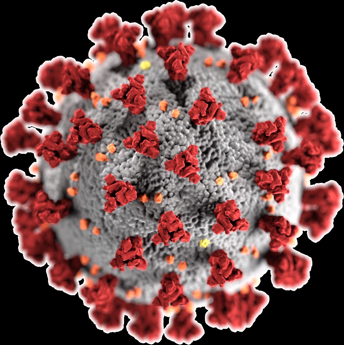 Corona-Virus