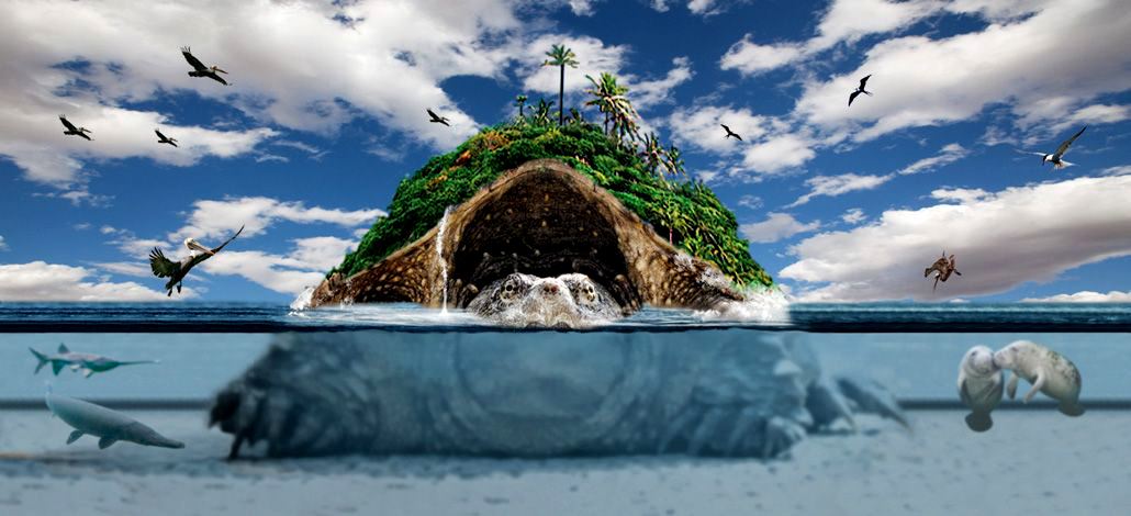 Turtle Island