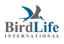 BirdLife