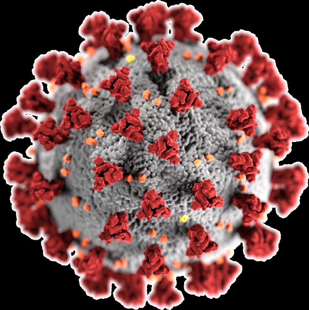 Corona-Virus (SARS-CoV-2)