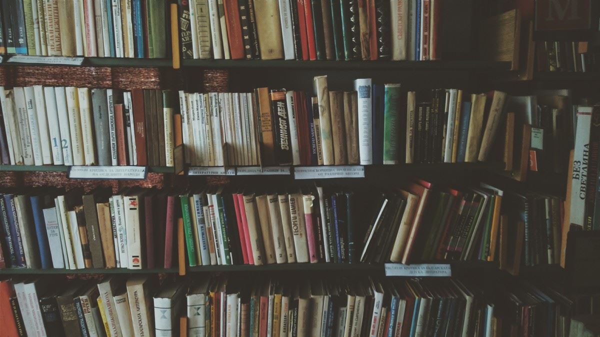 Bücherregal