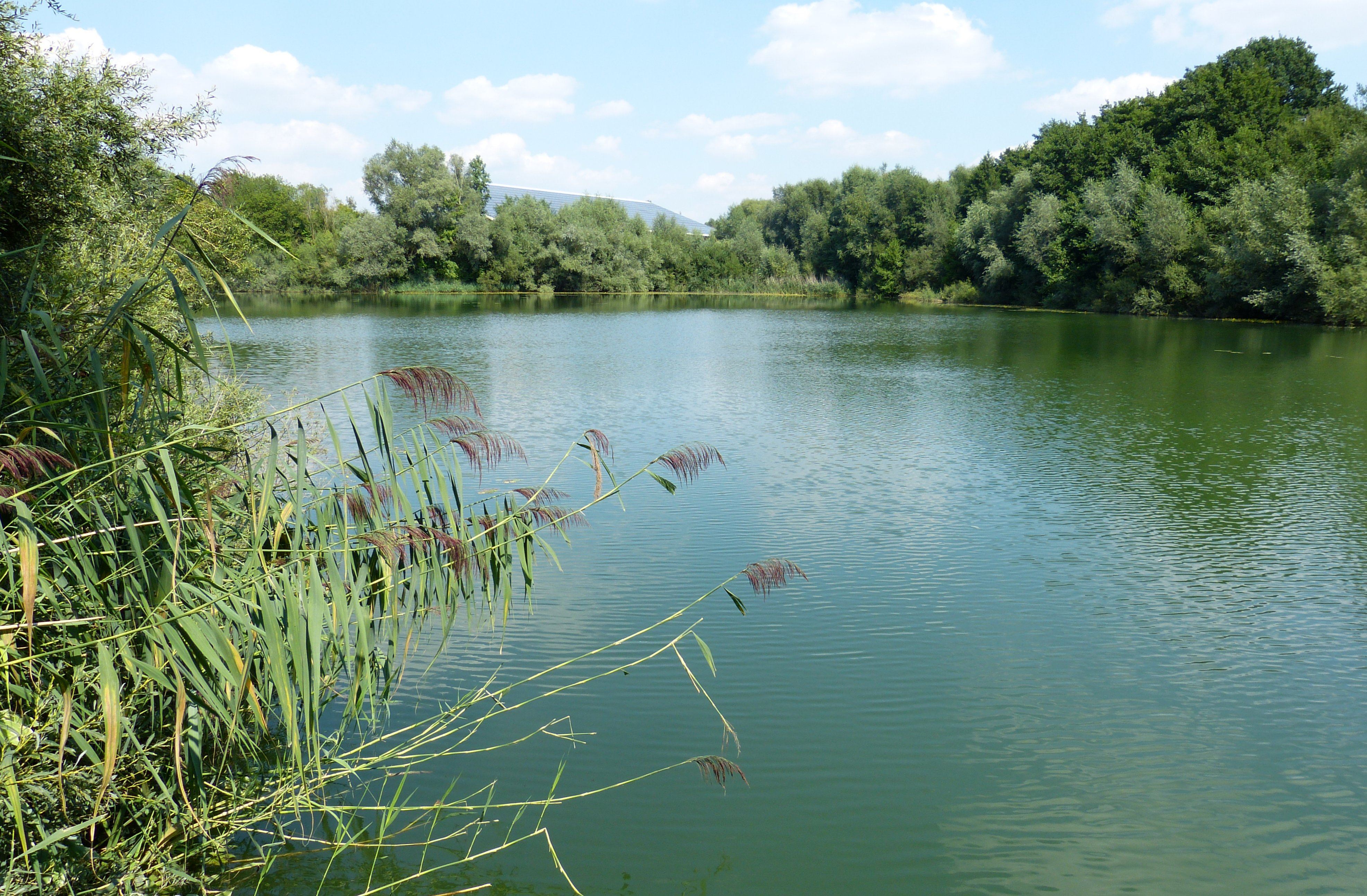 Thalersee