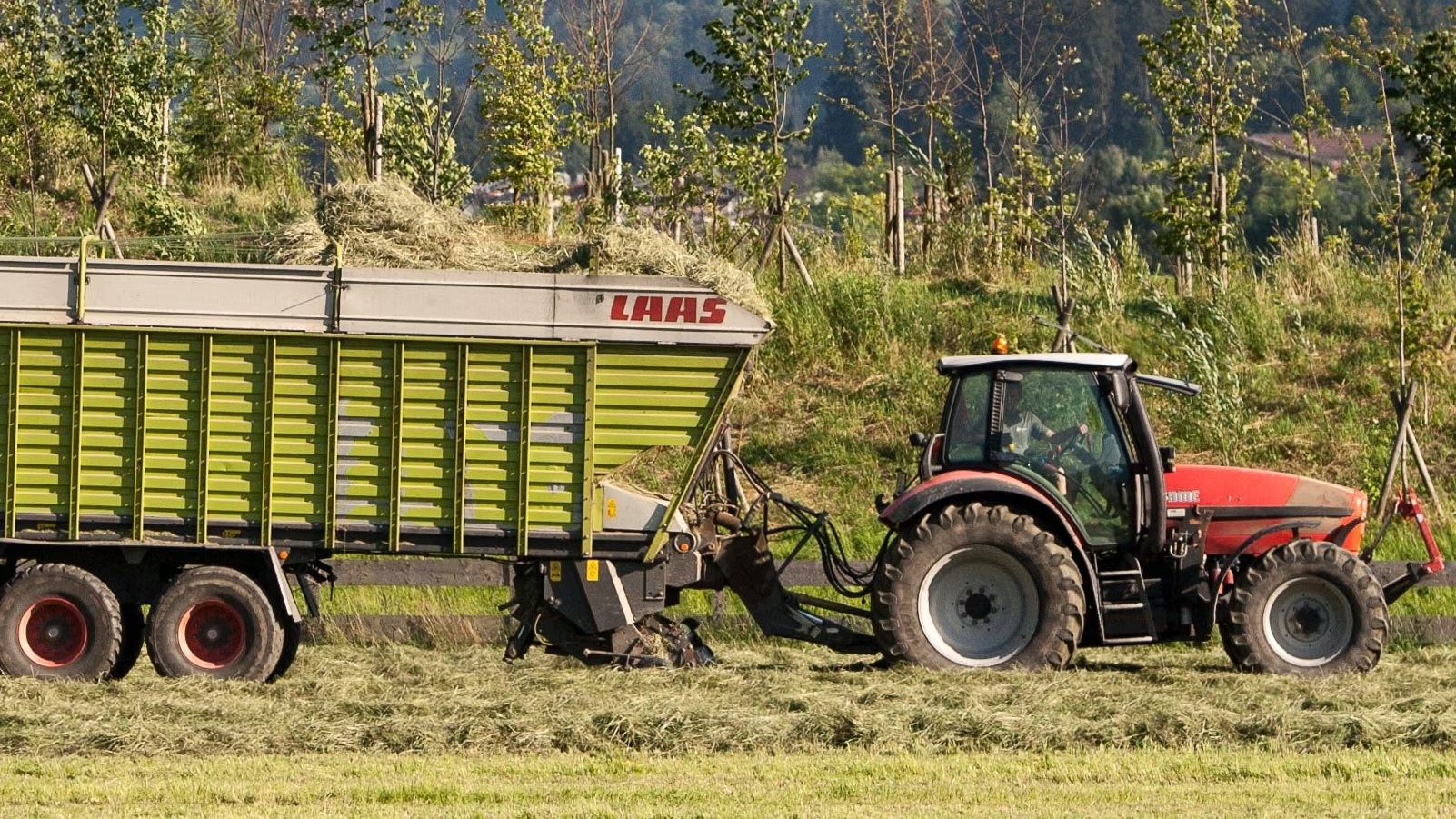 Bauernleben heute